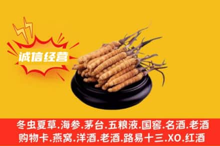 肇庆市回收冬虫夏草